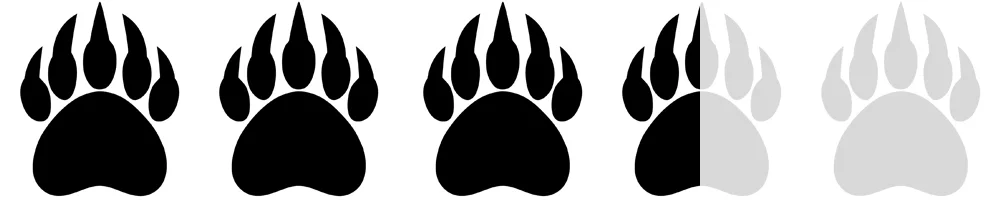 Bear Paws.jpg