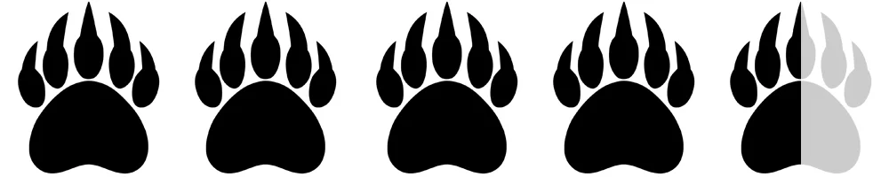Bear Paws.jpg