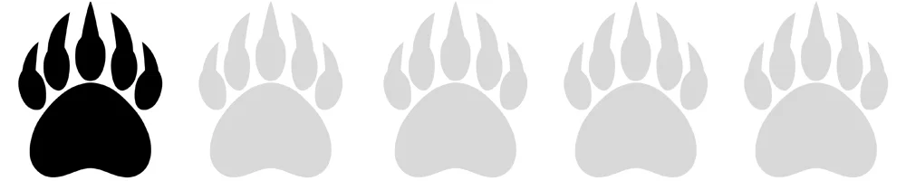 Bear Paws 1.jpg
