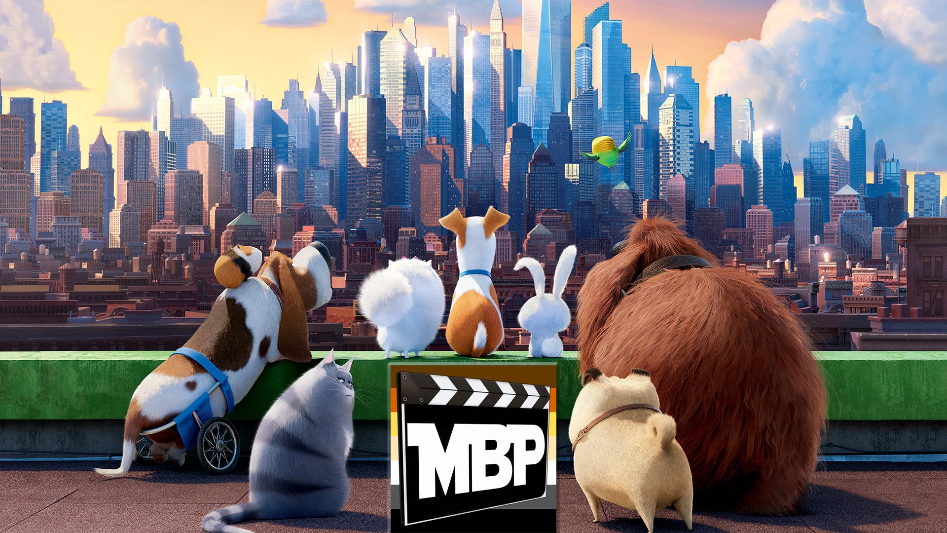 MBP e191 - 'The Secret Life of Pets' and Indie Watch (7/14/16)  It's Pet Week on the Movie Bears Podcast! Our own animal companions join us for a review of 'The Secret Life of Pets.' Plus, the return of our Indie Watch segment. This week, we tackle …