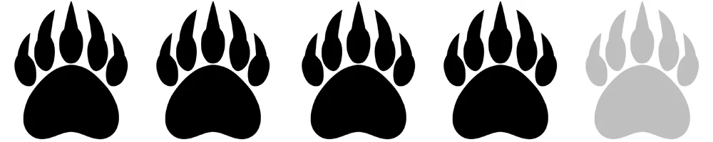 Bear Paws 4.jpg