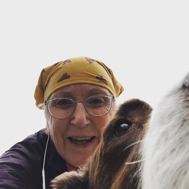 Good morning! Nothing like a little run and then a walk with my sweet Gracie all while listening to Crosby,Stills and Young. What are you doing for fun today?
#gracieandme #running #doggielove #toledo #oldorchardneighborhood #toledoohio #youwilldobet