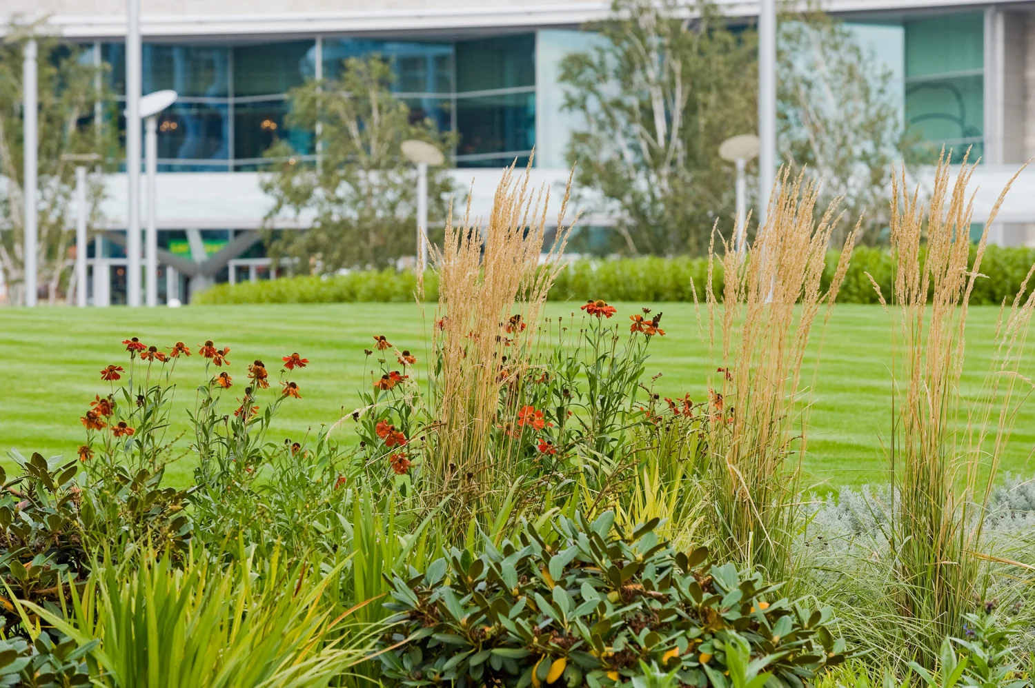 Liverpool ONE Chavasse Park