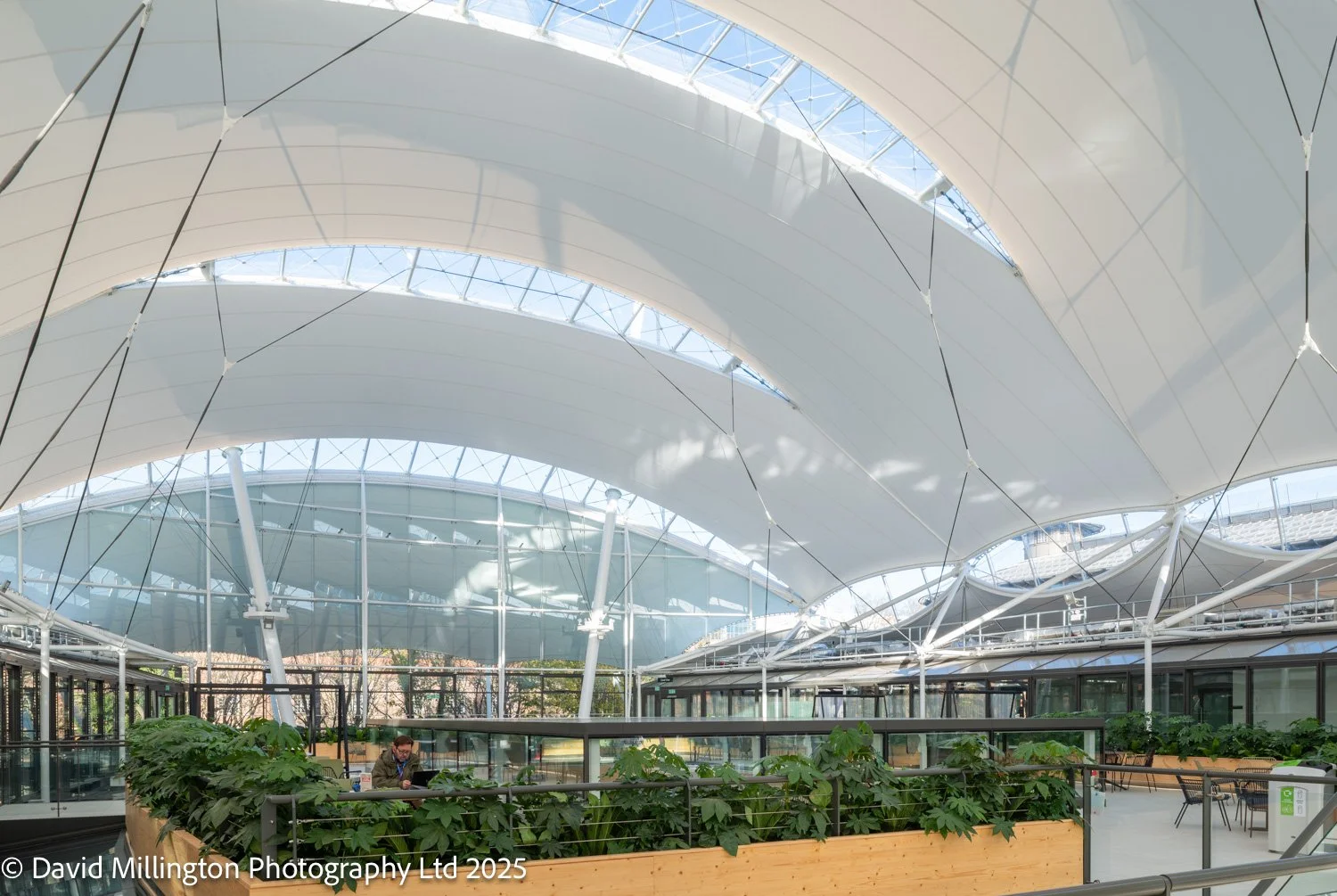 ba171125-04.jpg