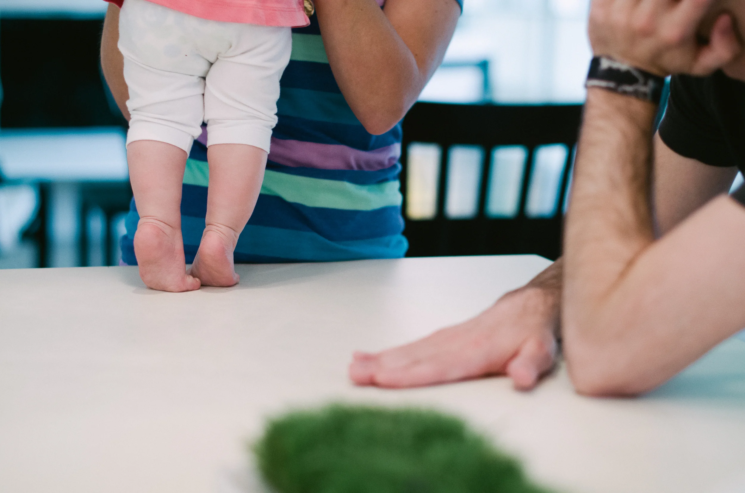 verwys-family-2013-46.jpg