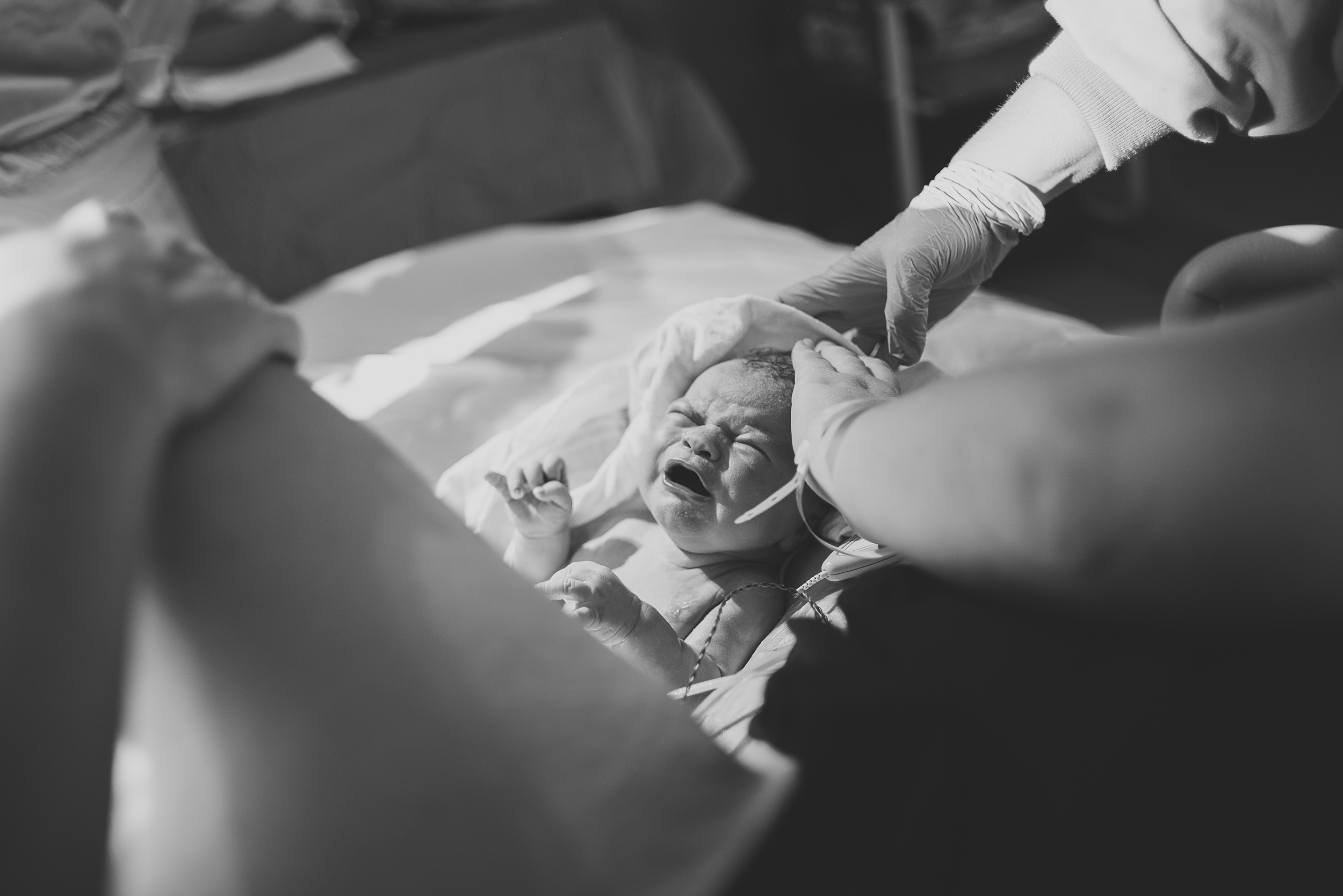 Fox-birth-7.12.14-110.jpg