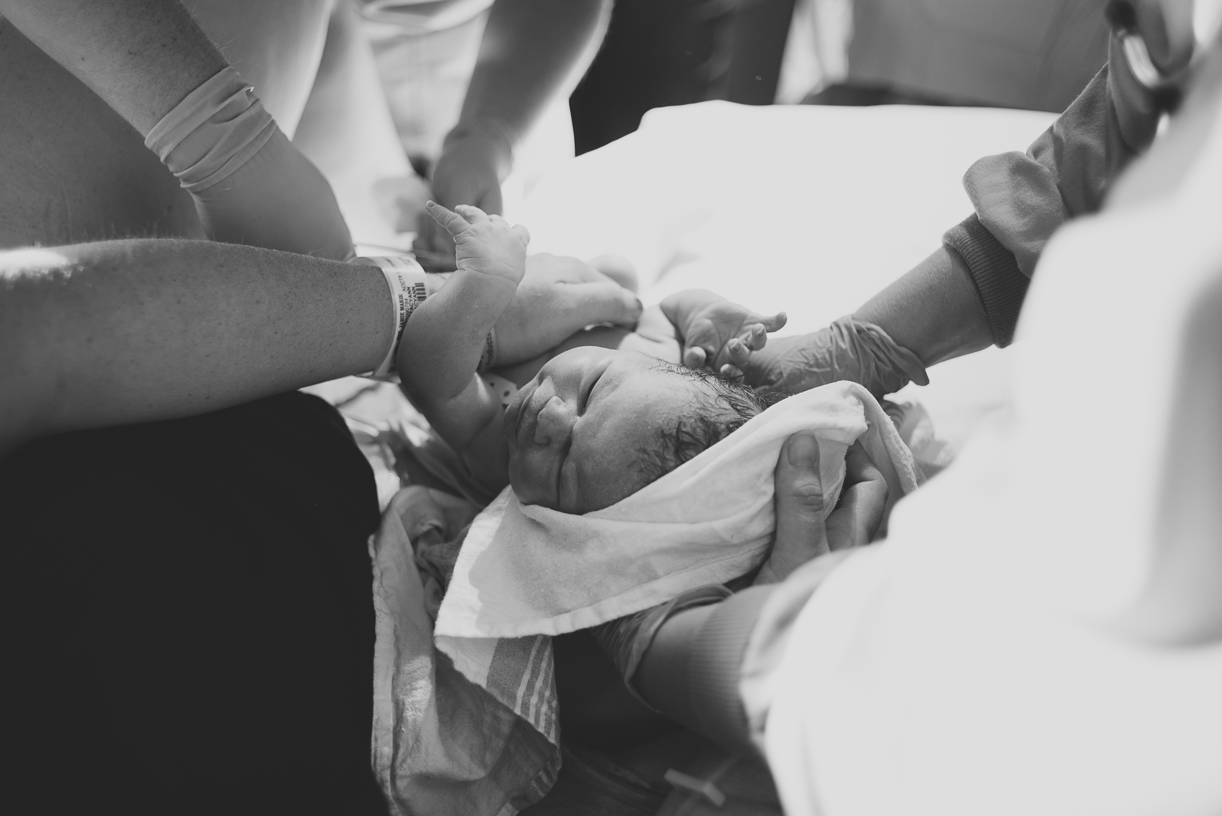Fox-birth-7.12.14-117.jpg