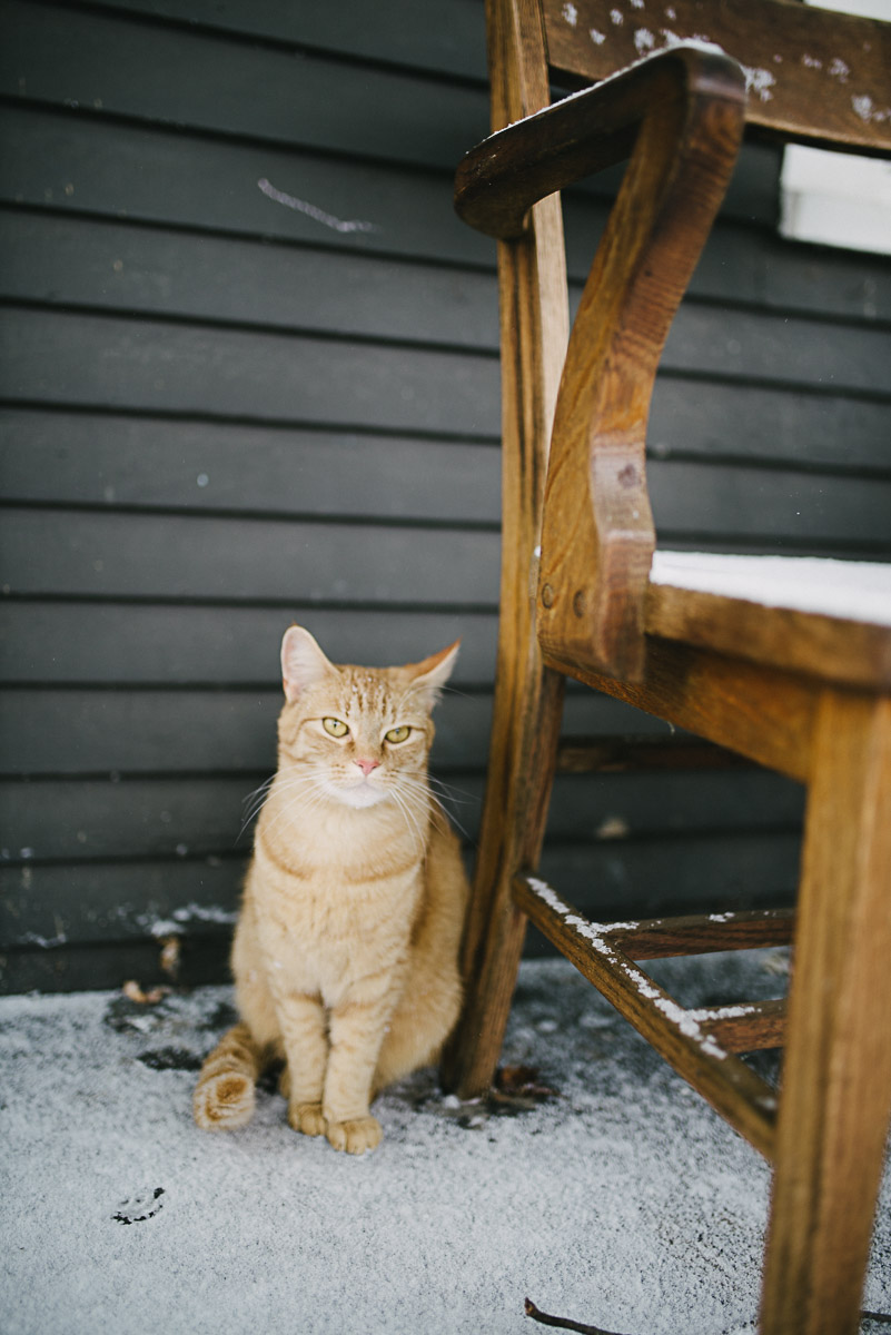 snow-day-11.18.14-18.jpg