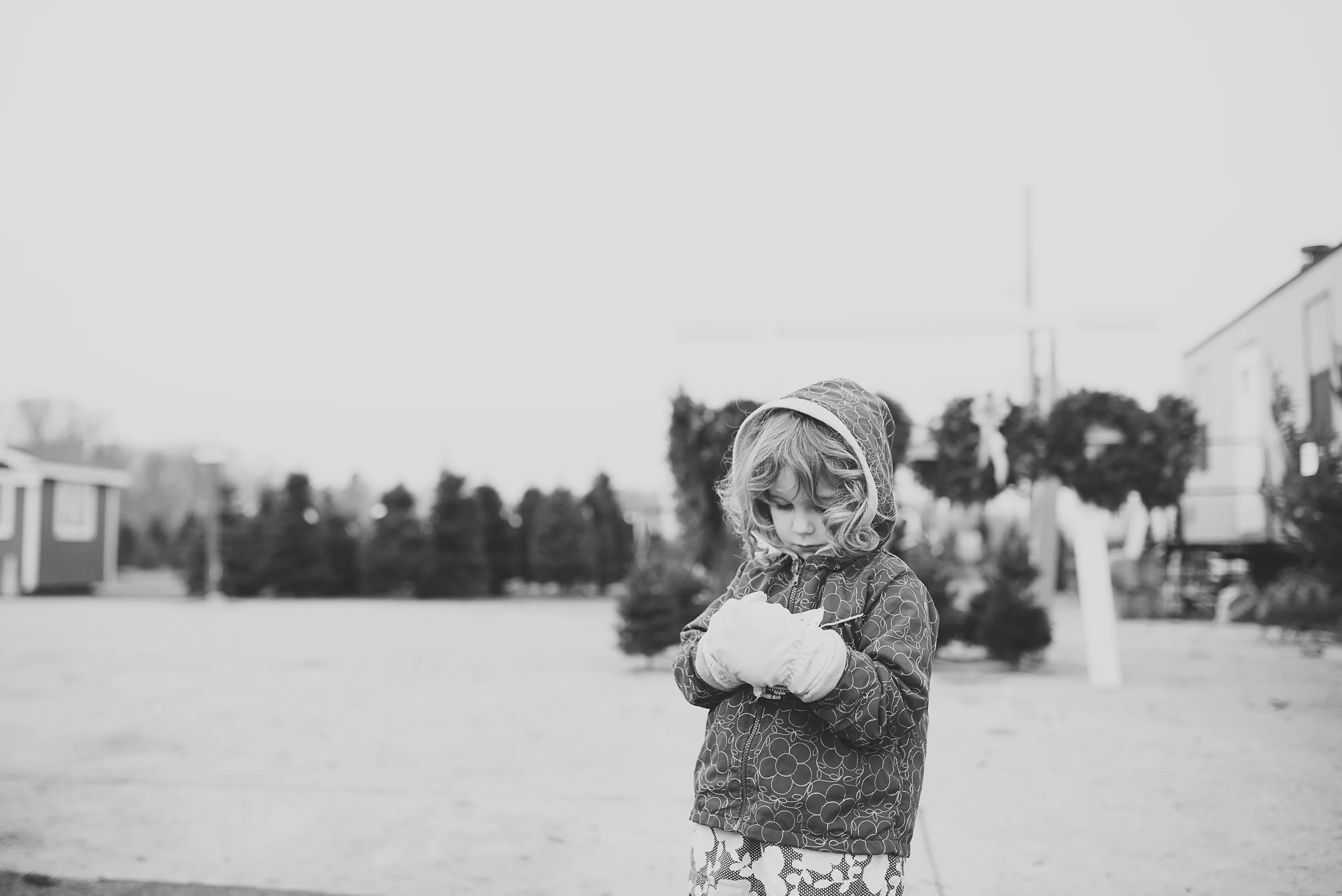 christmas-tree-cutting-14.jpg