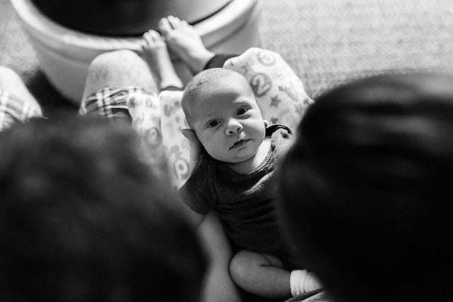 That face, though! So present and cognizant. Babies are amazing people.⁠
.⁠
Book your session with YOUR winter baby and get 15% off plus a starbucks gift card.⁠
.⁠
#brookecollierphotography #grandrapidsnewbornphotographer #lifewithanewborn #fresh48 #