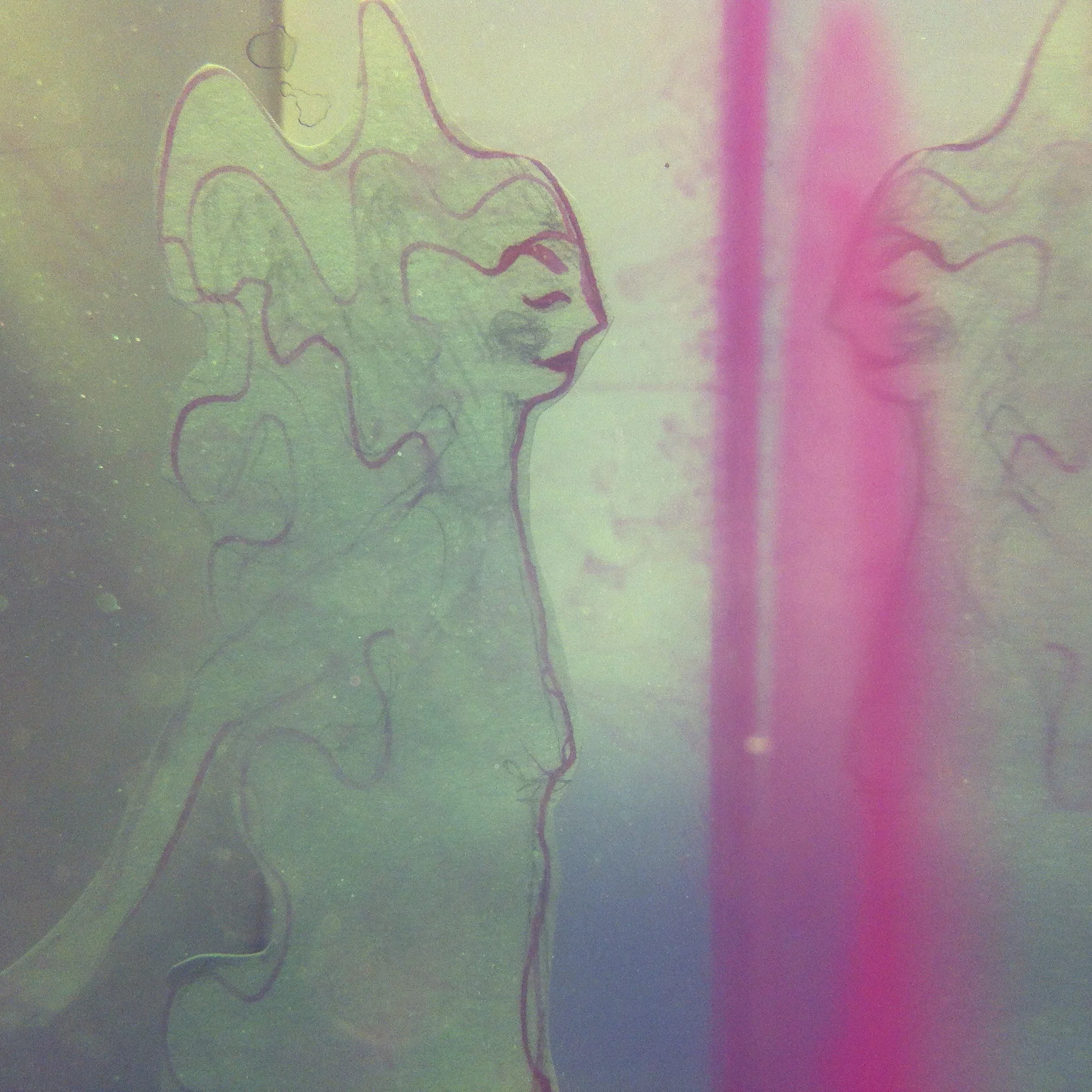 underwater pink.jpg
