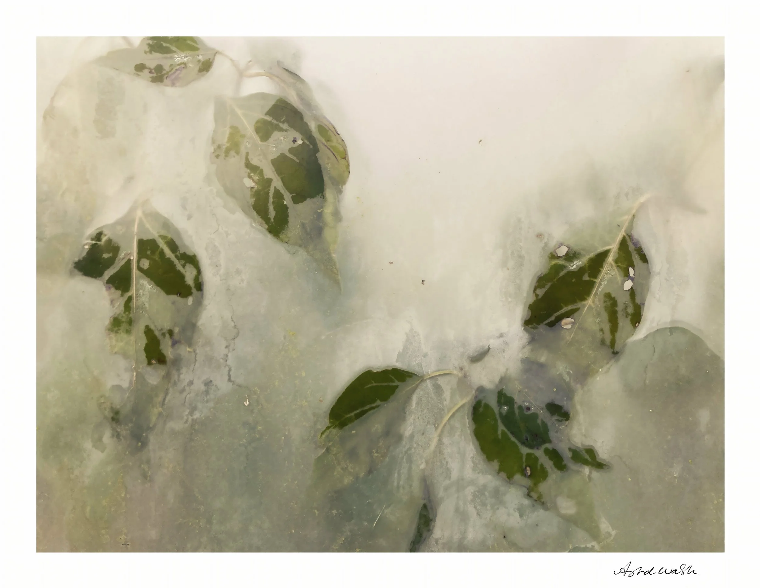 25A8304F-442B-4917-B34B-F6DEE3D90110-widt