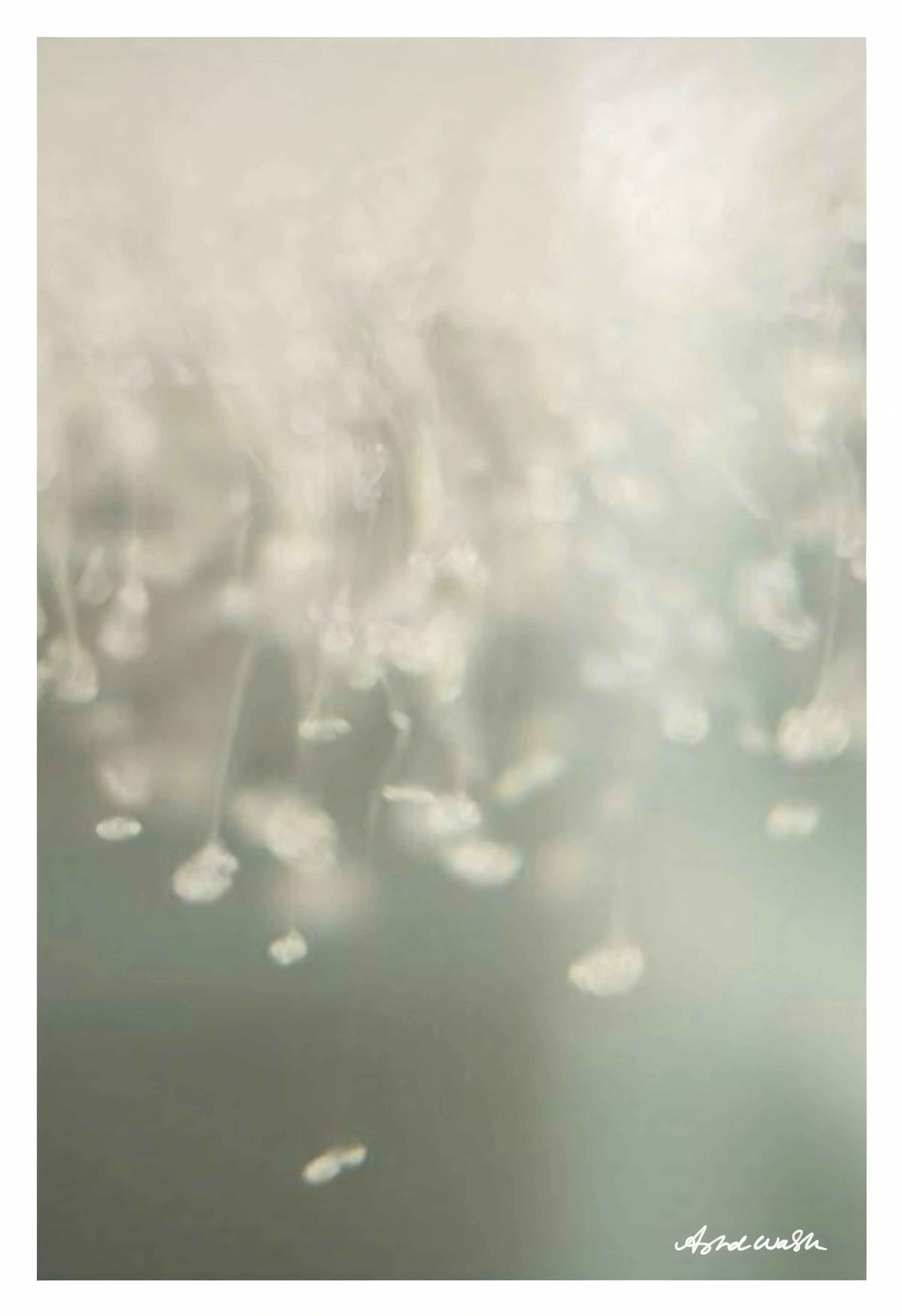 B414BF07-8966-41C4-9771-5C4A0A33D7C2-widt