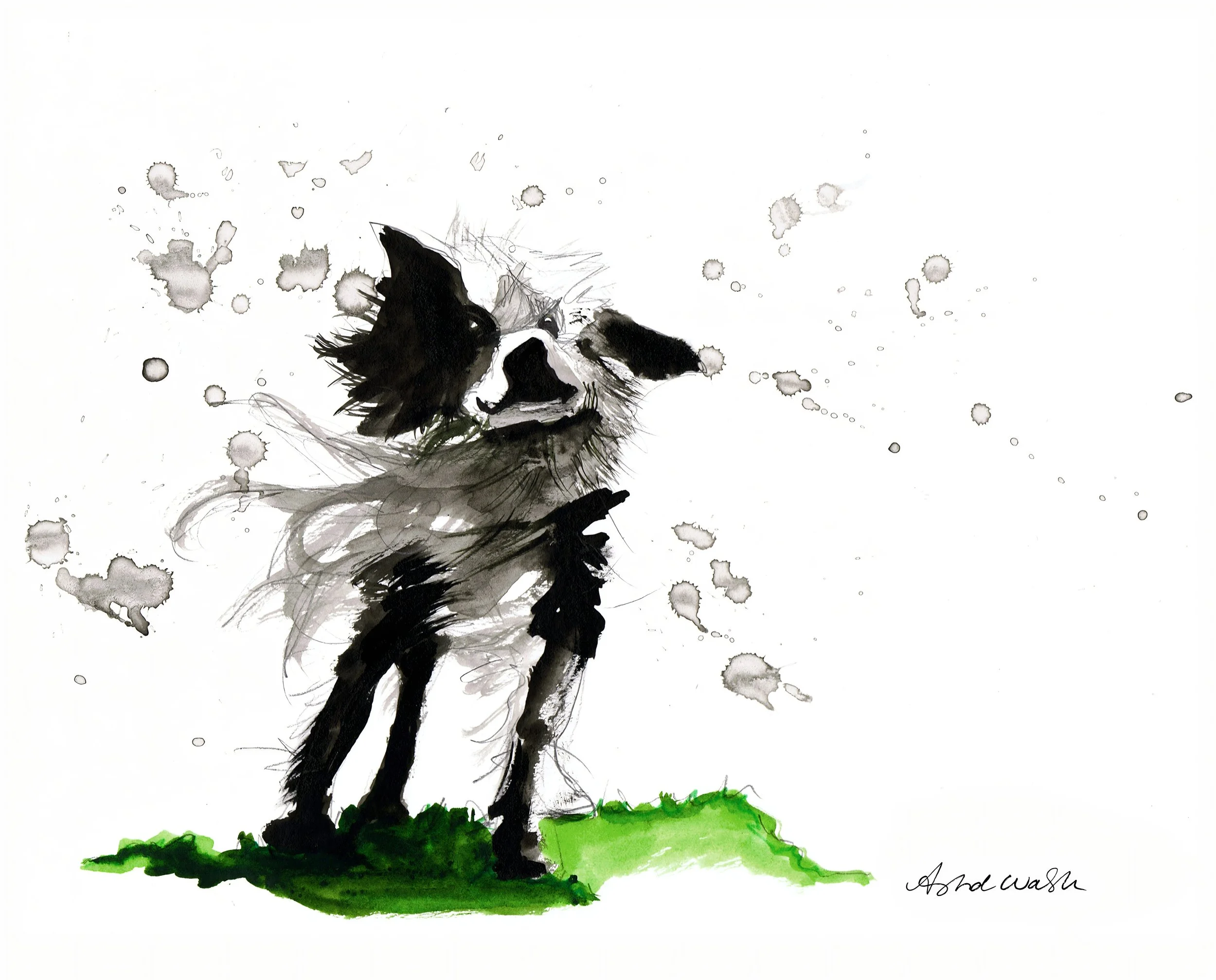 C6623FB0-BE91-4158-A5ED-05A52FE4A308-widt