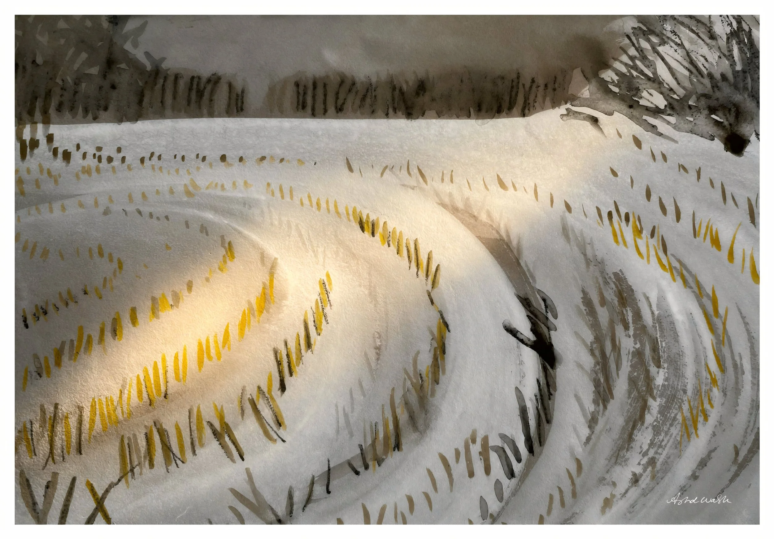 59F609AA-7D76-423D-A519-FB21779C38F6-widt