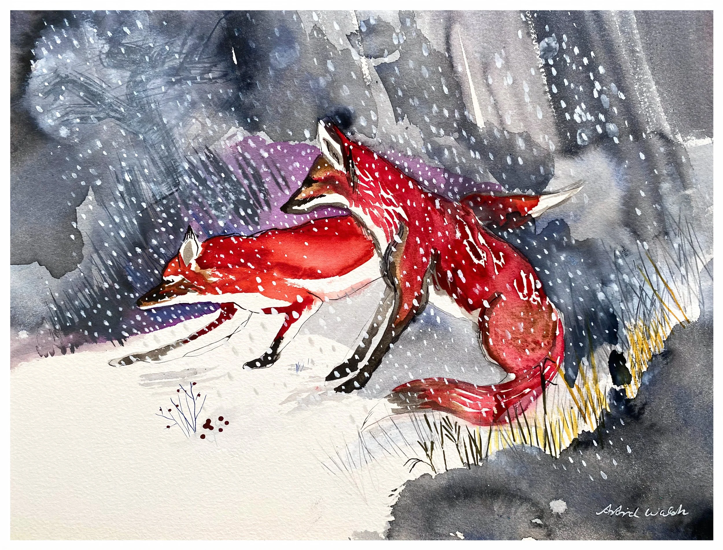 D1F4DE63-1408-4355-98A2-7EF9C80F0D20-widt