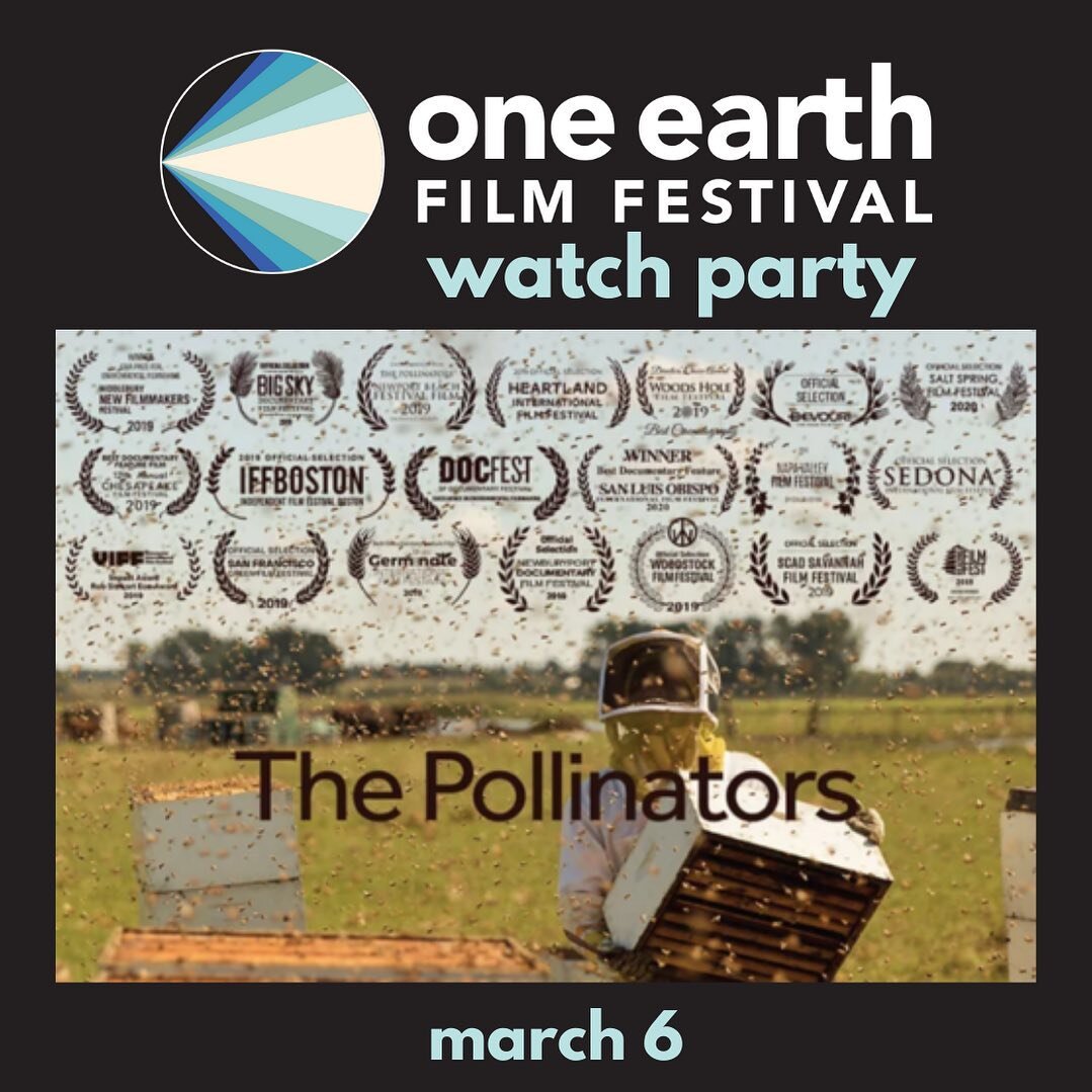 The Pollinators is screening virtually and in person this Sun, March 6th as part of @OneEarthFF. 
Virtual panel discussion &amp; Q &amp; A following the film with some awesome folks who are doing great things for bees #chicago 
Virtual Watch Party.  