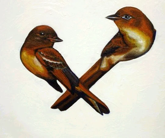 crossed birds close.jpg