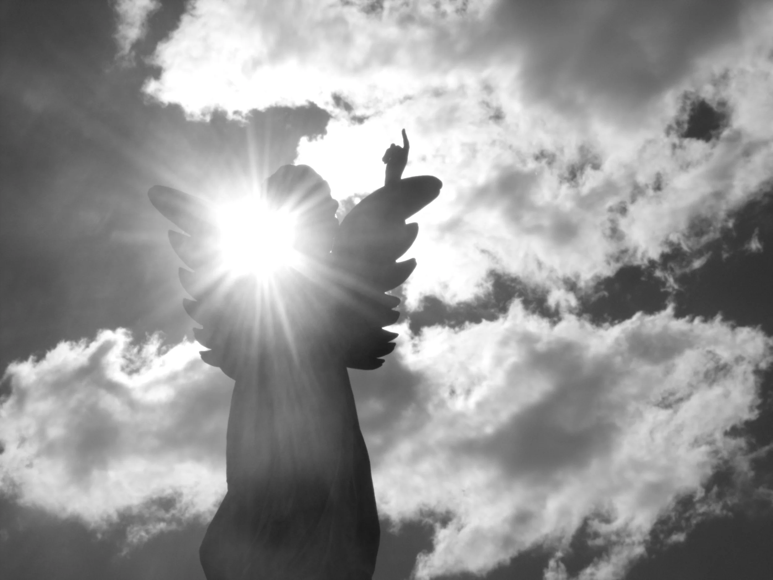 Angel