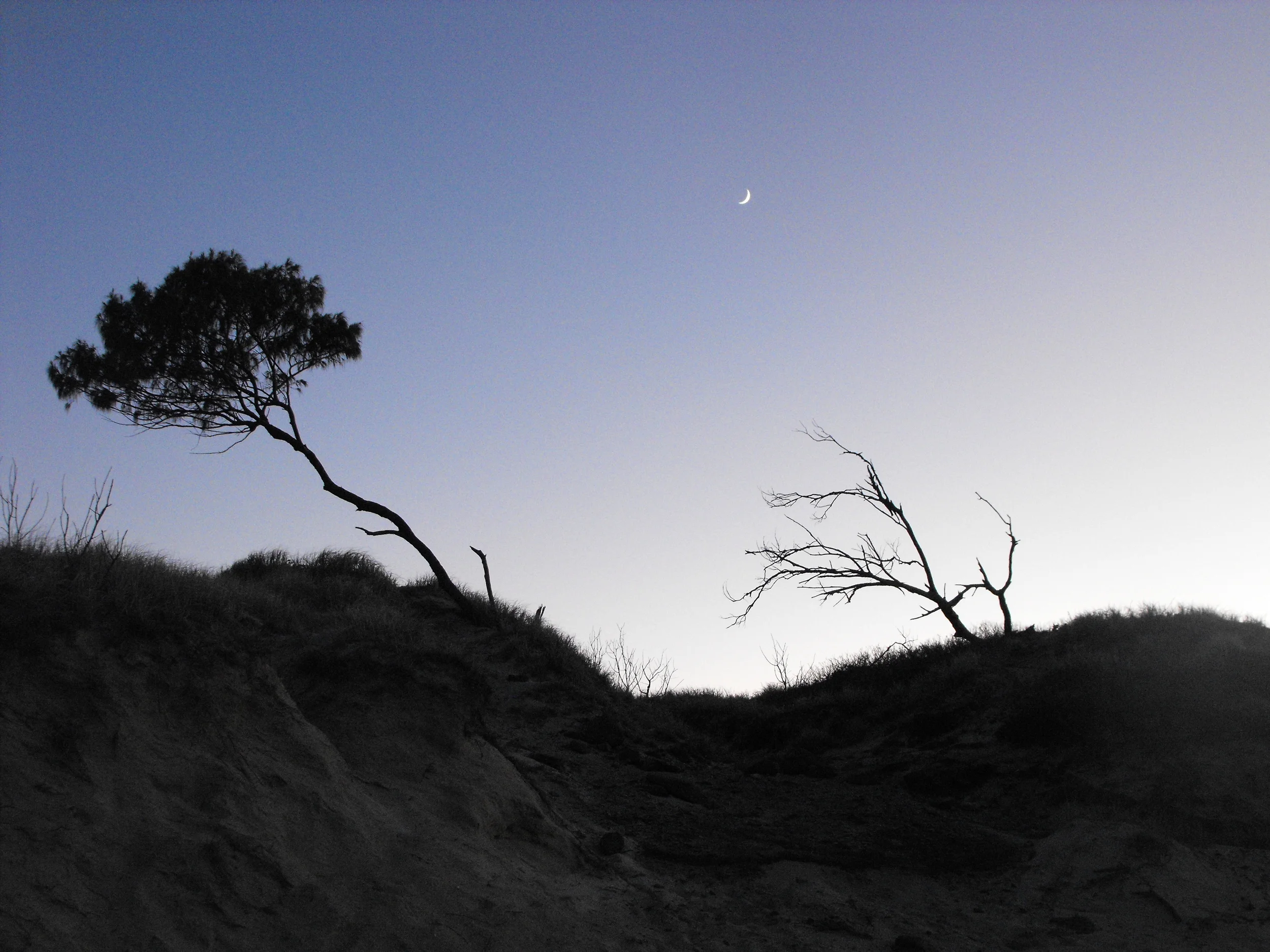 moon