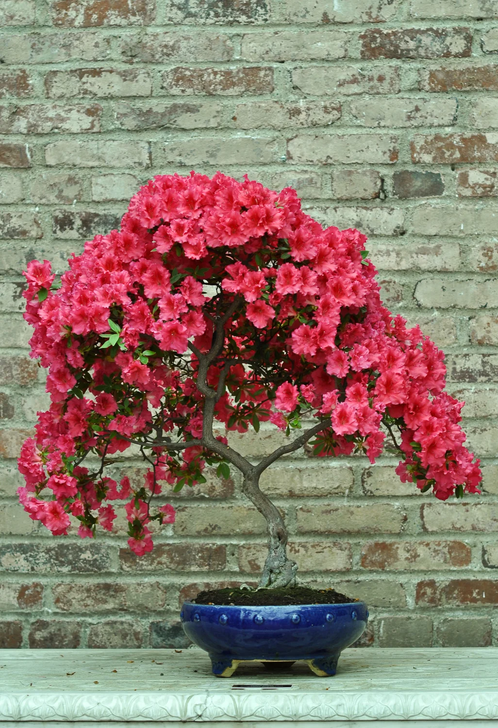 Phipps-27.jpg