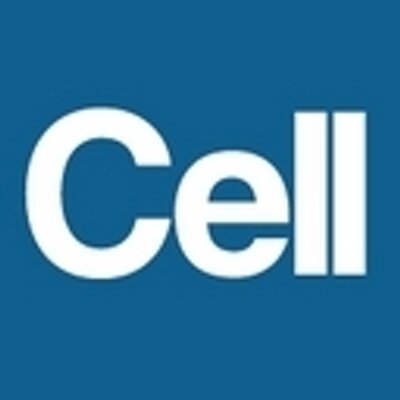 Spatial Map of Human T Cell Compartmentalization and Maintenance over Decades of Life