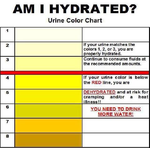 We're showing you this again, as urine color is an easy way to identify if your child is showing signs of dehydration.