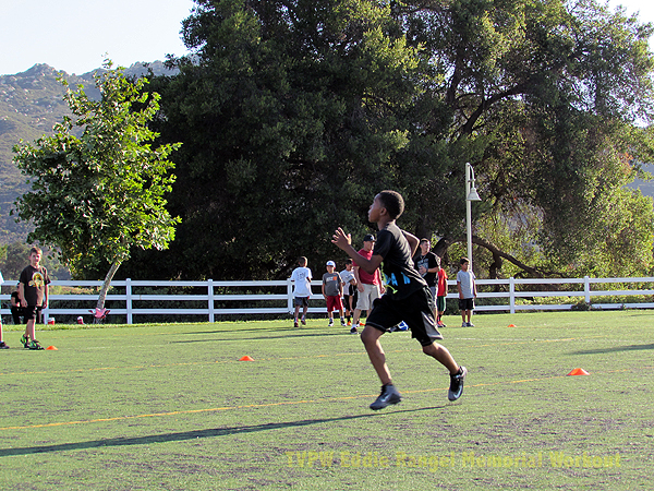 IMG_0051072616.jpg