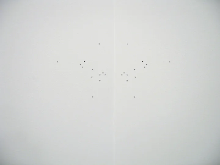 2005 Symetrical pin holes (close up).jpg