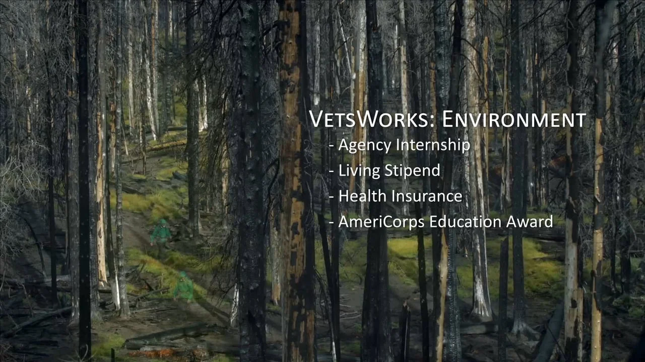 VetsWork: Environment
