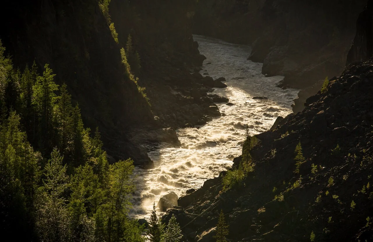 Part Two: Journey to the Stikine and the Sacred Headwaters