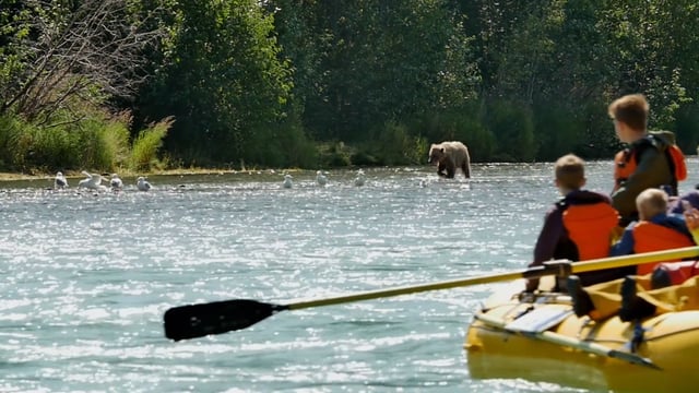 Activities at the Kenai Riverside Lodge