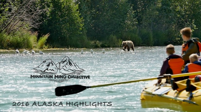 The Alaska Reel 2016