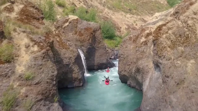 American Whitewater: Learn to Identify and Avoid Spawning Salmon
