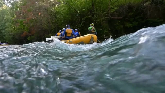 American Whitewater: Paddlers Preventing Aquatic Invasive Species