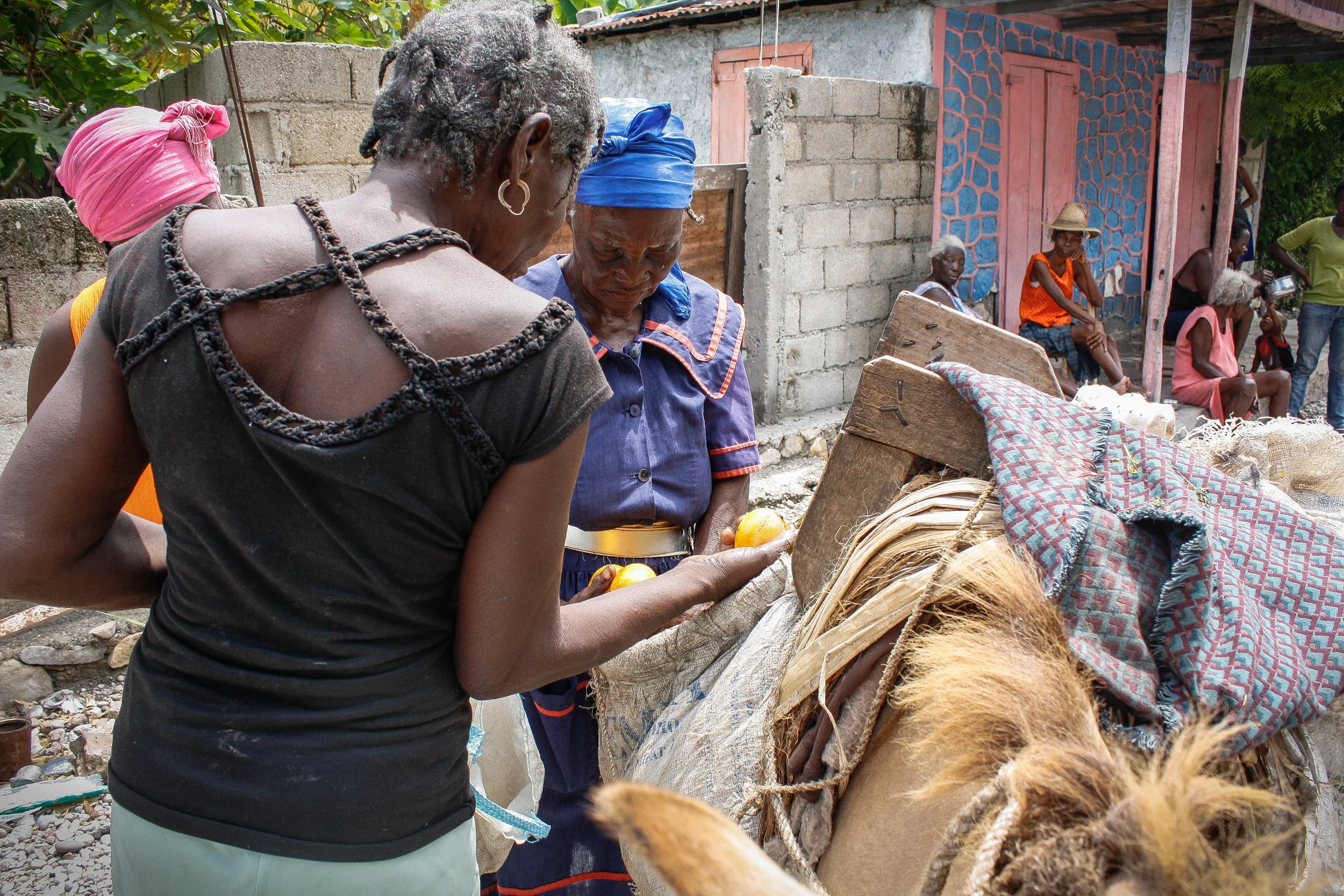 Woman selling mangos in Belle-Anse.