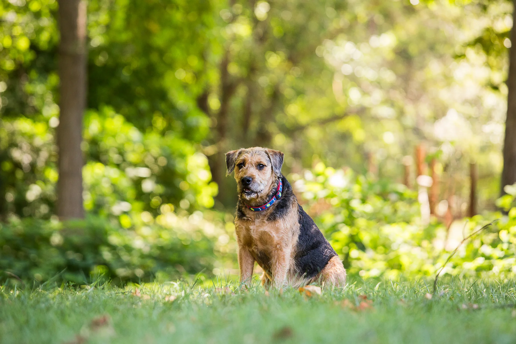 Baxter-4.jpg