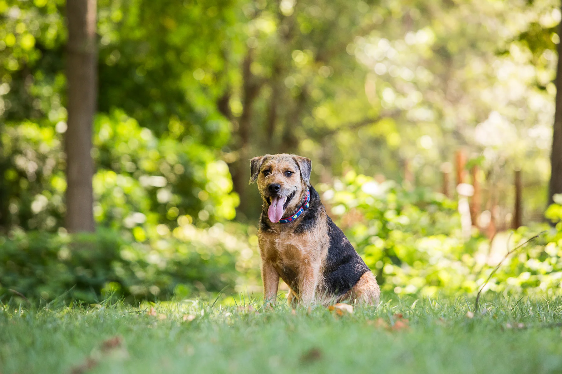 Baxter-5.jpg
