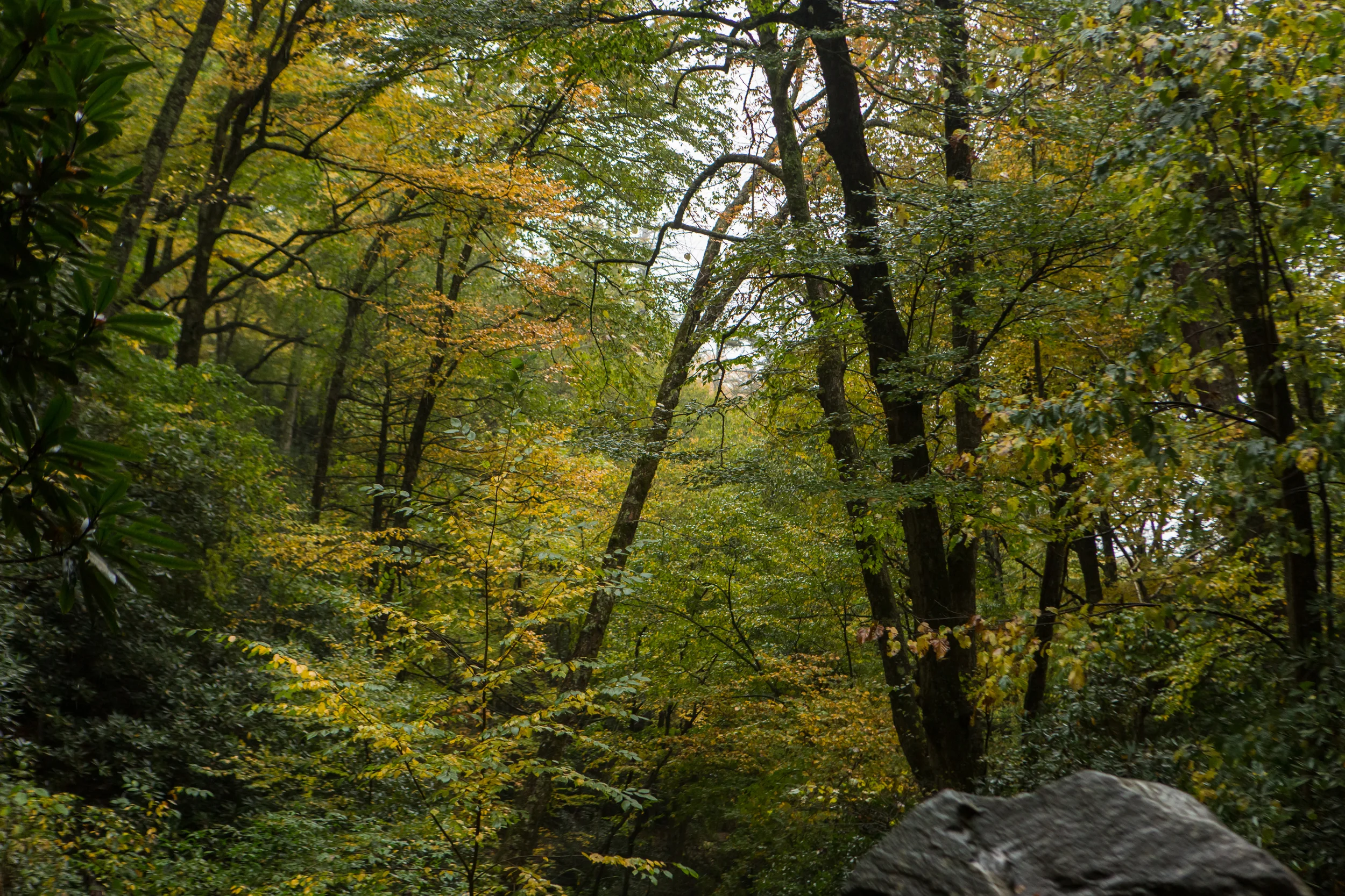 Okay, there is something to be said for solitude in the mountains.
