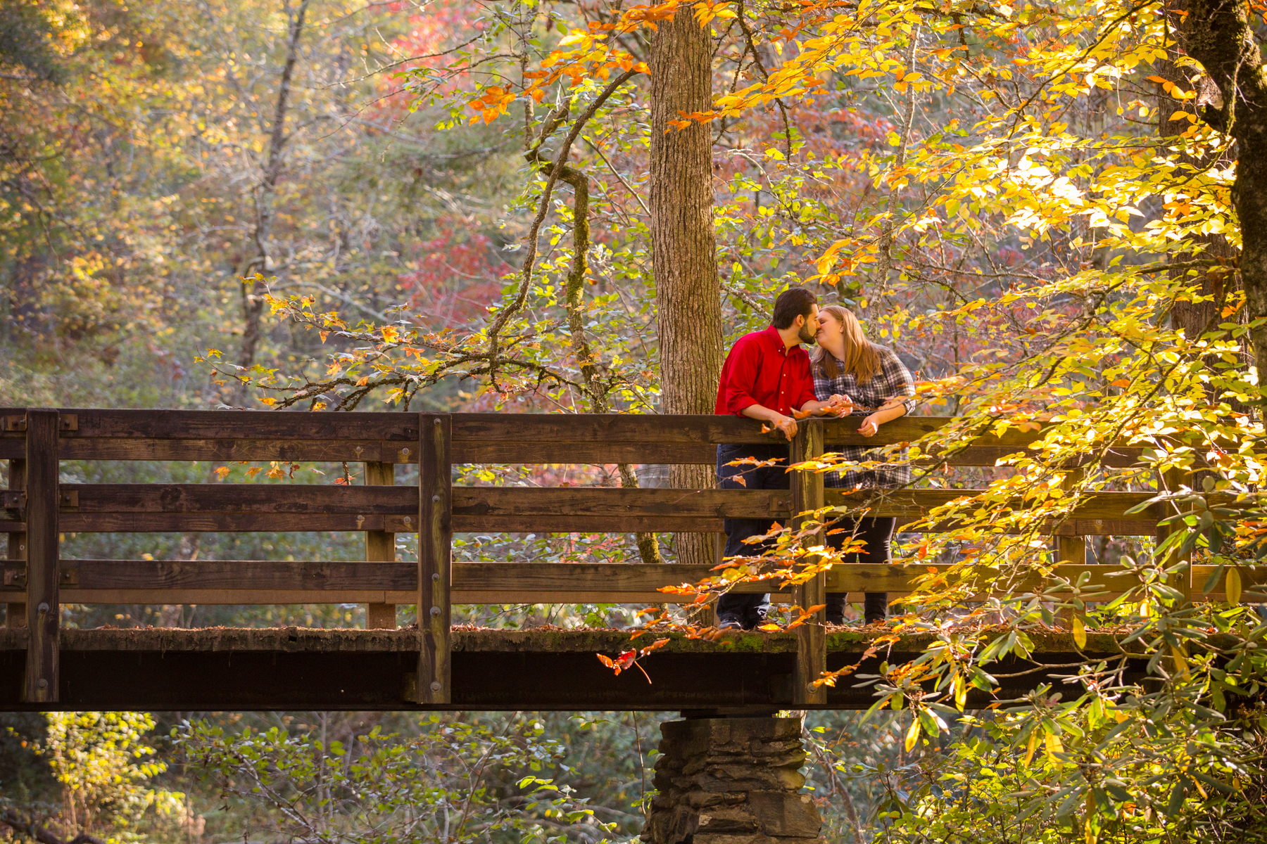 On the bride at the trail head for the Abrams Falls trail.