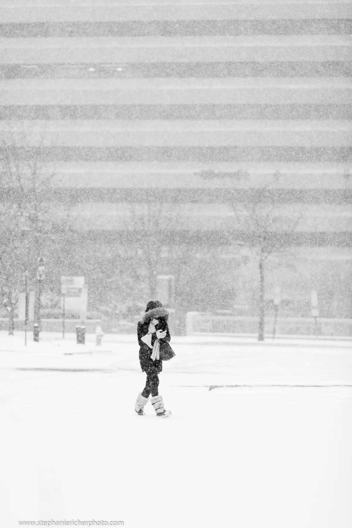Walking home in Arlington, VA