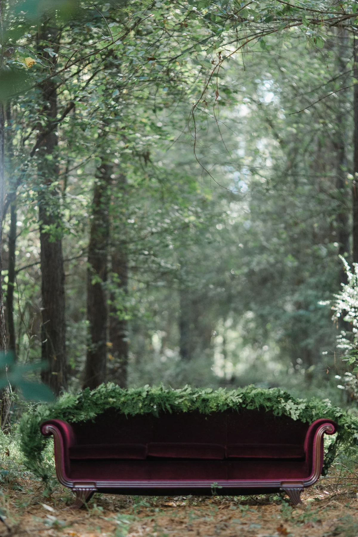 Hiwassee Shoot-3.jpg