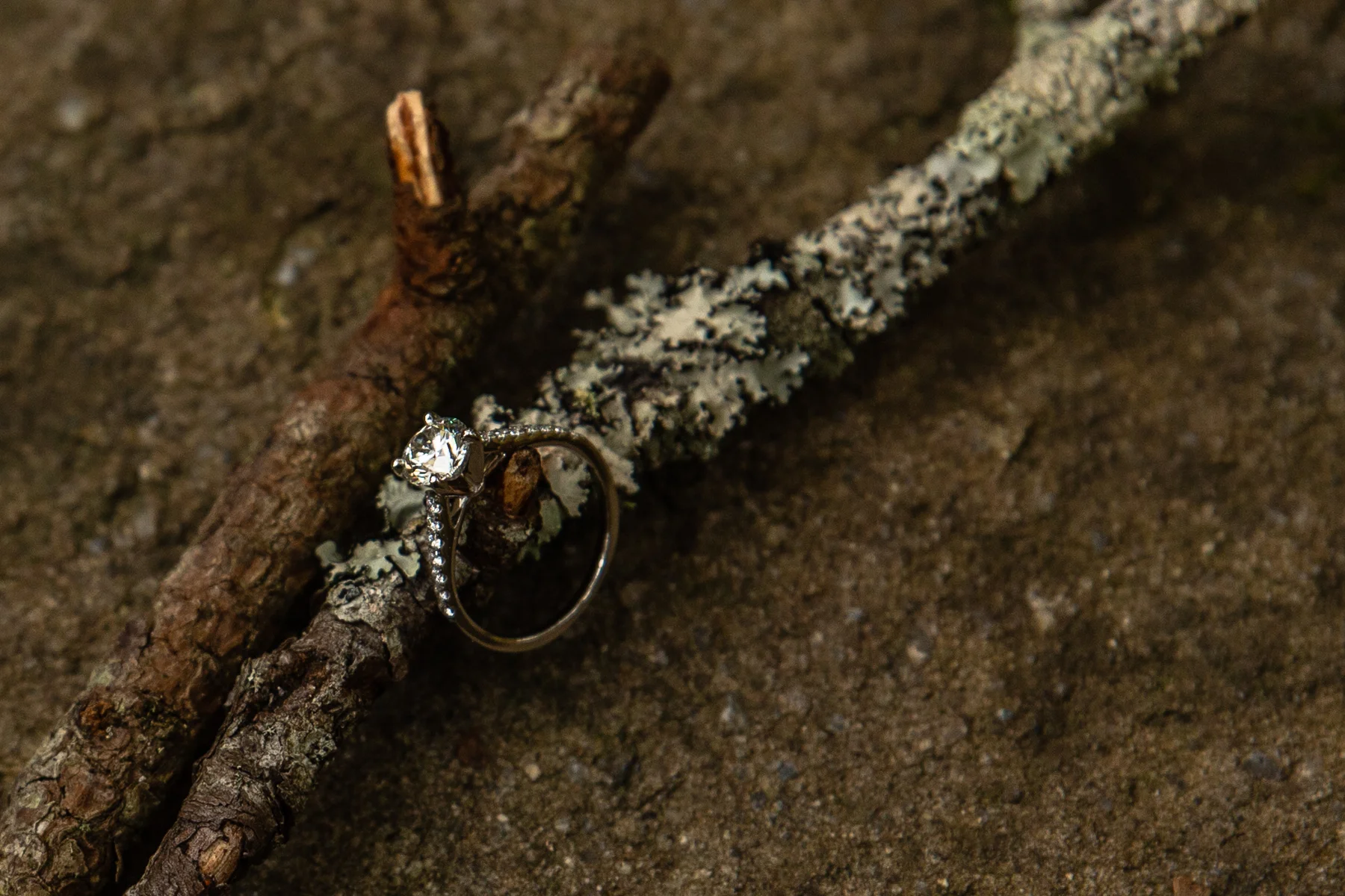 Javier and Amarylis Proposal-20.jpg