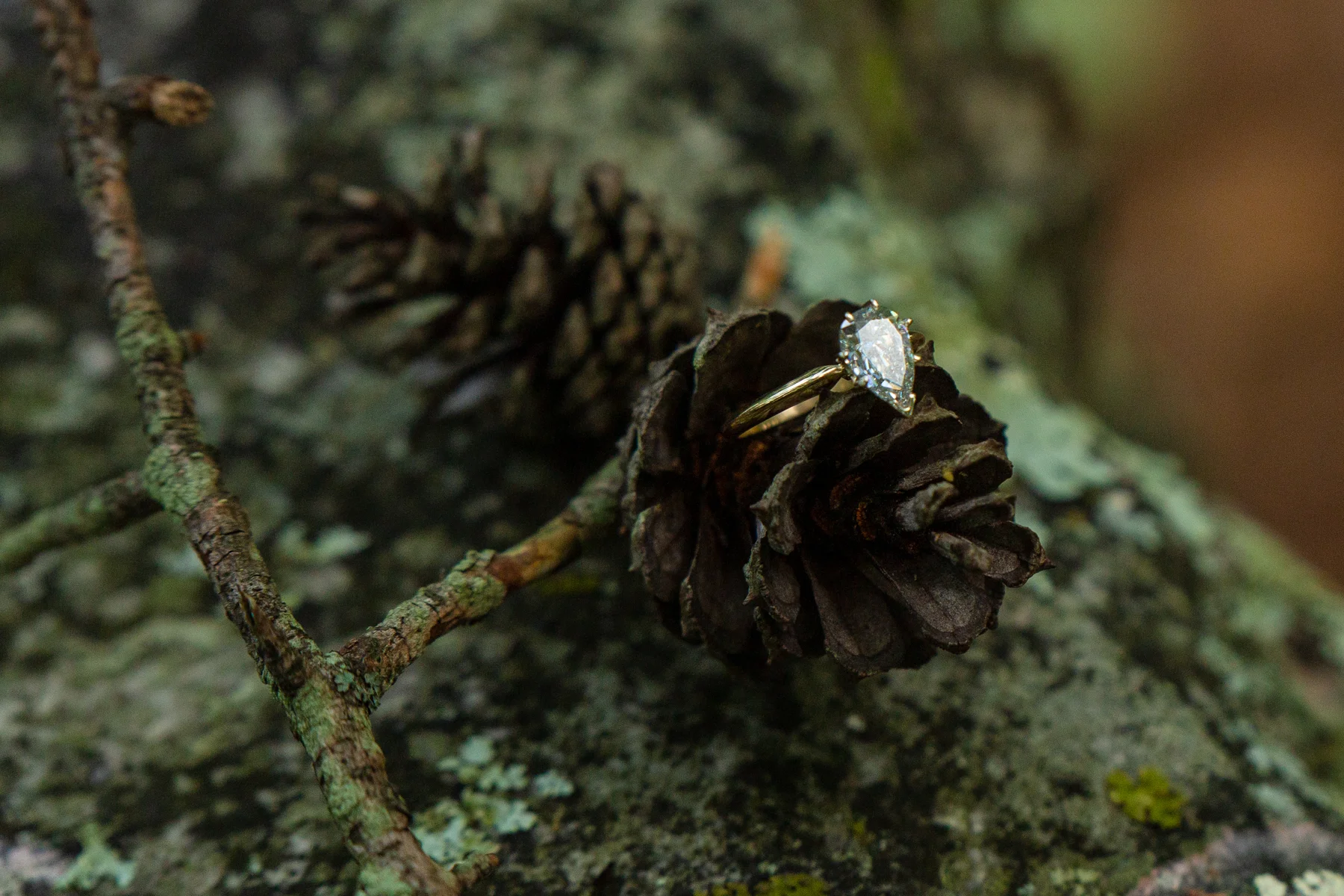 Engagement Ring on Pinecone.jpg