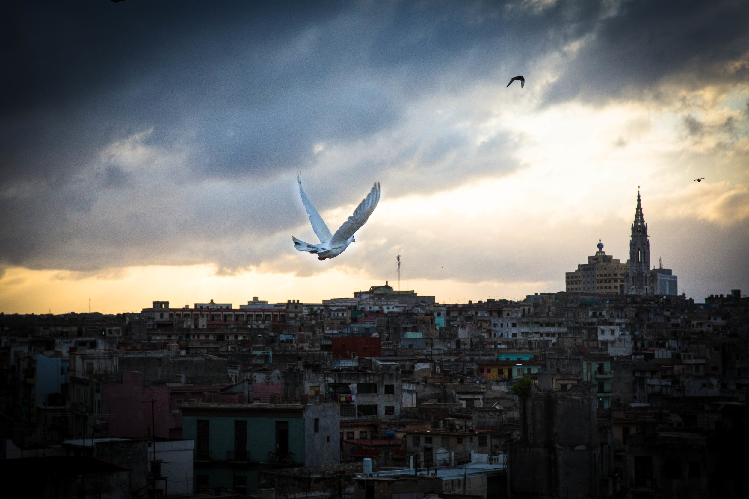 Manny_sunset & homing pigeons.jpg