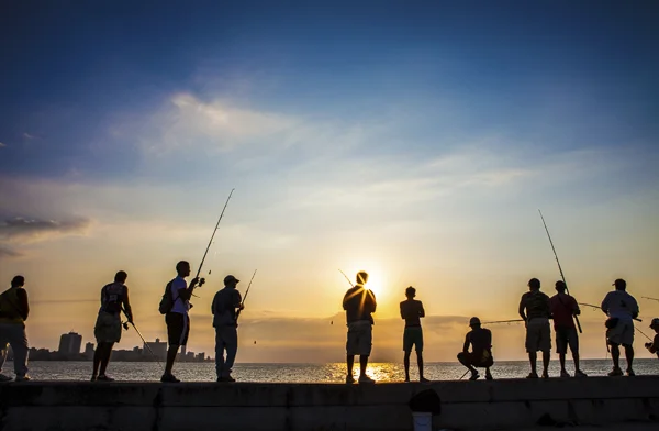Click here for video and participants' galleries from previous trips