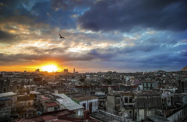SOLD OUT. Trip video coming soon See participants gallery May 9-16, 2011 Havana 8-days