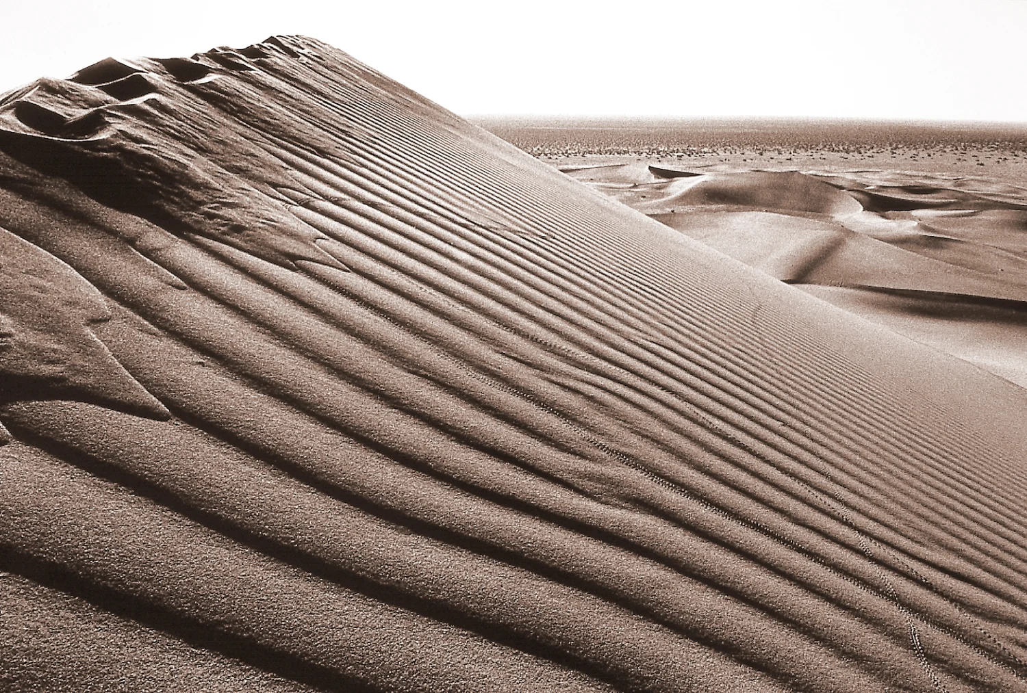 Trip video coming soon See participants gallery November 3-6, 2011 Death Valley 4-days