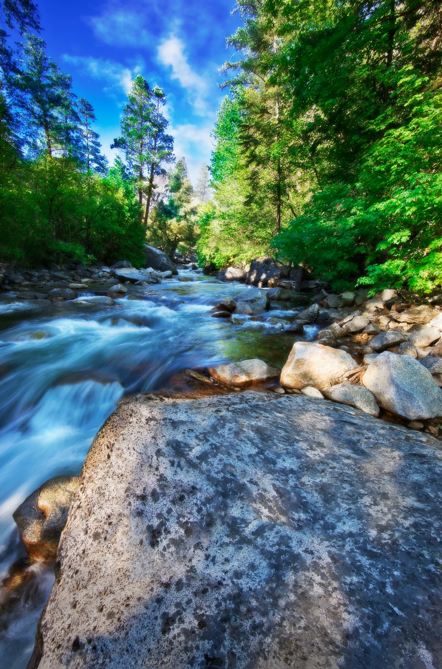 2062_ESPREE6036WPdrop_JR20254_Layered copy.jpg