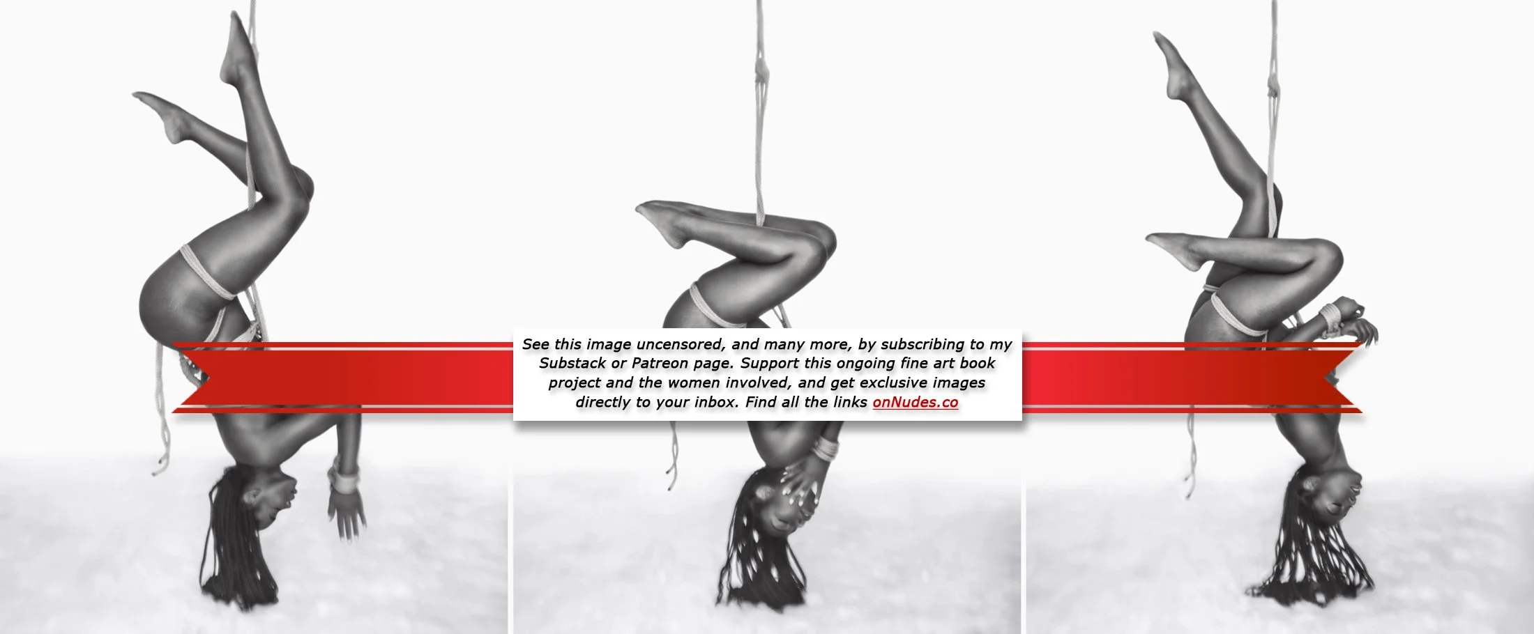 Restrained Desires | Dakota No. 3